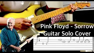Guitar Lesson(with TAB) | Pink Floyd - Sorrow(Pulse 1994) Guitar Solo Cover