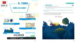 ATEŞ BÖCEĞİ - 4. Sınıf Türkçe Dinleme Metni