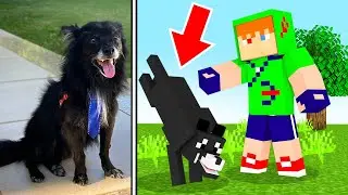 MEU CACHORRO ENTROU NO MINECRAFT E APRENDEU VÁRIOS TRUQUES!!