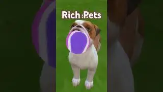 🐶 Pets can make you a lot of money in the Sims 4 - Cats & Dogs EP needed 