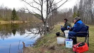 Рыбалка на Реке Друть. Ловим подлещика на фидер. Селёдка под Шубой на Природе. Рыбалка с Ночёвкой.