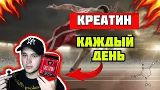 Что Будет с Телом, Если Принимать Креатин Каждый День? Как его пить? Все секреты в одном видео