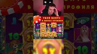 КОСТЫЧ ОГРАБИЛ СОБАК! ЗАНОС В БОНУСКЕ +500К