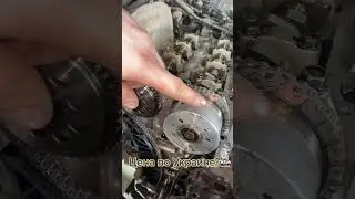 Замена цепи ГРМ на авто цена в Днепре 3500грн 