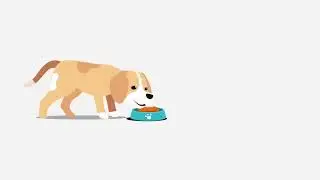 Пес кушает 8 фон для видео Собаки и работа с ними