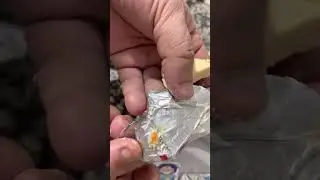 جبنة فاسدة بكارفور