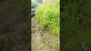 Train to Badulla - Hill country