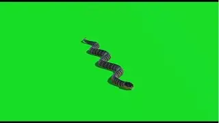 Snake 36 || Green Screen Videos