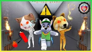 Rocky Escape The Monster Zoo!  - 汪汪隊立大功的灰灰逃離野獸監獄 - Roblox 機械方塊
