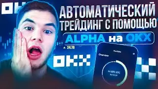 Heybit I Alpha на OKX - Передовой Сервис Робо-Советника