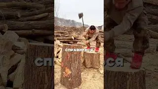 Самый сильный лесоруб в мире😱 🪵