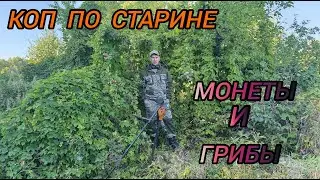 коп по старине монеты и грибы
