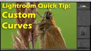Lightroom Custom Point Curve Presets