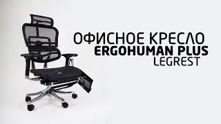 Видеообзор эргономичного кресла Ergohuman Plus Station