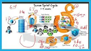 What is sprint cycle?