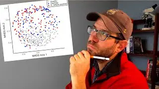 Revisiting and critiquing a scatterplot in R with ggplot2 (CC078)