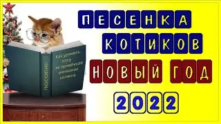 С новым годом. С новым годом 2022. #сновымгодоммамасновымгодомпапа #сновымгодоммамы #котики