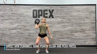 Single Arm Dumbbell Hang Power Clean and Push Press