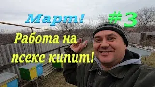 ✅МАРТ НА ПАСЕКЕ кипит работа! Утепляю днище ульев! 