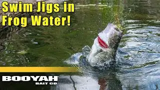 Why YOU Need to Fish a Swim Jig in Frog Water (Find & Catch BIG Fish)