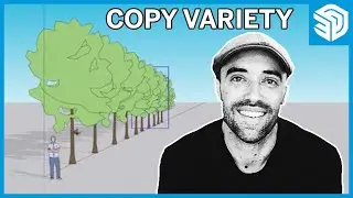 Component Copy Variety - Skill Builder