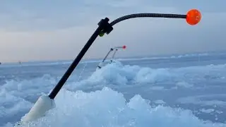 Корюшка 2021. Закрытие сезона.