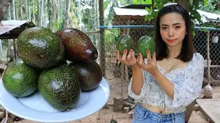 How to make avocado milk recipe - The everyday recipe
