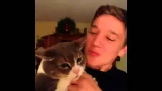 Кот, который не любит поцелуи