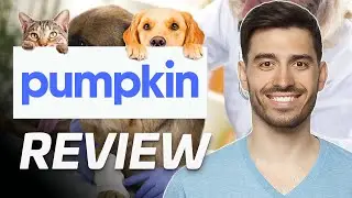 Pumpkin Pet Insurance Review | Is It Worth It? (2024)