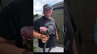 Eating Tuna Spine JELLY 