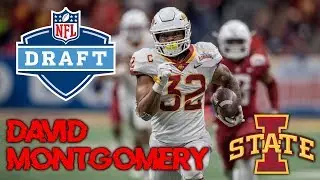 Welcome to Chicago | David Montgomery 2018-19 Highlights | Iowa State RB