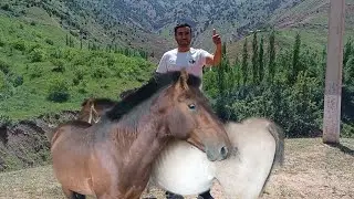 Сариосиё от бозори талабларга биноан