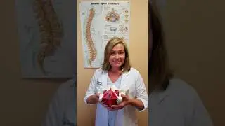 Guided imagery for pelvic floor relaxation | Connect PT