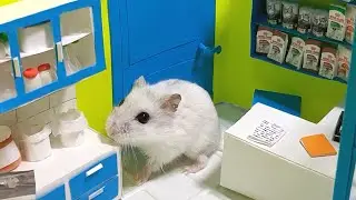 МИНИ КЛИНИКА** ХОМЯЧКИ У ВЕТЕРИНАРА** ЧТО СЛУЧИЛОСЬ С ФОКСИ?
