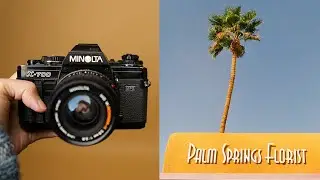 Why Minolta X-700 is my favorite 35mm Film Camera