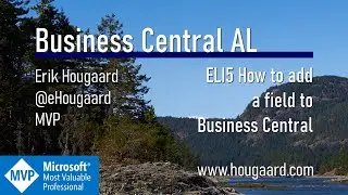 ELI5 How to add a field to Business Central / Getting started with customization