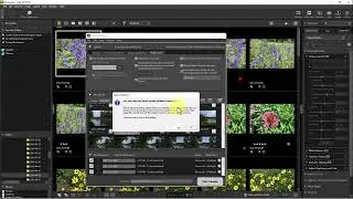 NX Studio - How to Import Photos Into NX Studio Using Nikon Transfer