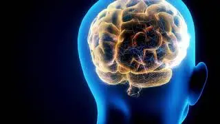 Brain full 4k video 