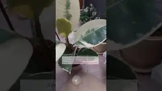 философия дня 💚