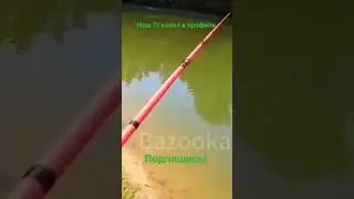 Наш Тг канал в профиле