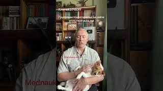 А кто-то будет проступать на общих основаниях?