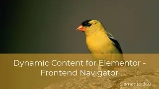 Dynamic Content for Elementor – Frontend Navigator