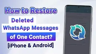 How to Restore Deleted WhatsApp Messages of One Contact? [iPhone & Android]