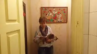 Песня ,, Журавли журавушки 