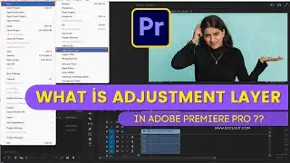 What is Adjustment Layer in Adobe Premiere Pro and How to use it?
