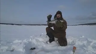 ЗАЧЁТ ПО СИГУ! Прощаемся с youtube, читаем описание.