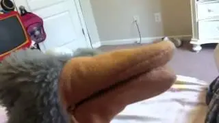 P-P-platypus's dating video blog