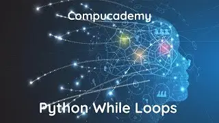 An Introduction to While Loops in Python