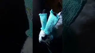 премерка одежды