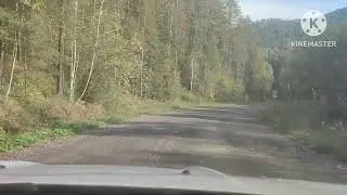 2419. СИБИРЬ.. ЕДЕМ к ИВАНУ ПЛАХУТА..